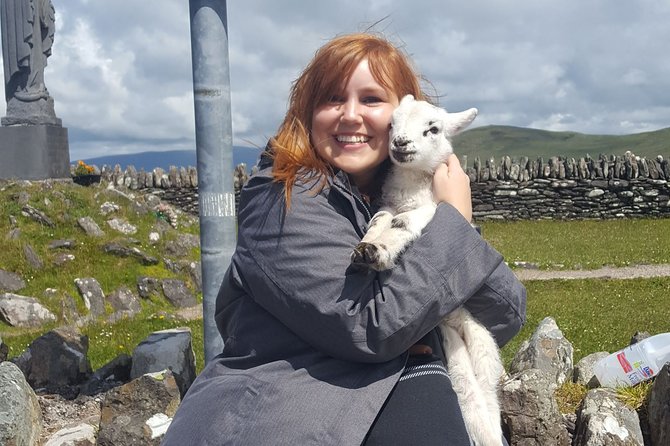 10 Day Wild Irish Experience Small Group Tour From Dublin - Day 5: Cliffs of Moher Height, Shannon Ferry Time, and Sheepdog Skills to Dingle