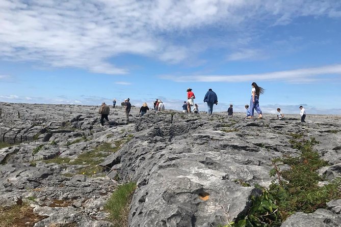2-Day Rail Tour: Galway, Cliffs of Moher & Medieval banquet in Bunratty Castle - Riding the train back to Dublin: the Shannon crossing moment