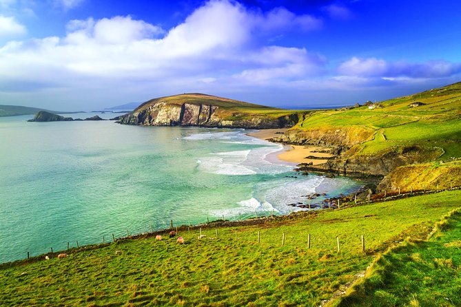 3-Day Dingle, Killarney and the Wild Atlantic Way Small-Group Tour from Dublin - Guiding Style and Comfort: The Extra Mile You Can Feel