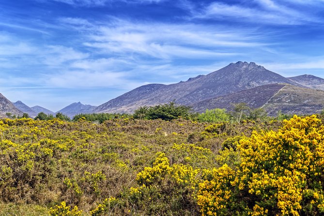 3-Day Discover Northern Ireland Small-Group Tour from Dublin - Mount Stewart in County Down: gardens and estate time
