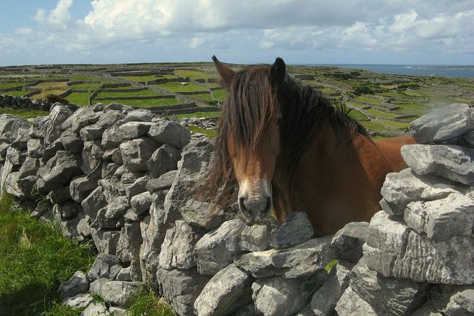 3-Day Southern Ireland Tour Including Galway and Kerry from Dublin - Dingle Peninsula overnight: what you can reasonably expect