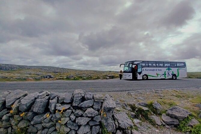 4-Day Guided Tour to Discover Ireland and Dublin - Day 3 in Dublin: walking tour, Guinness, Jameson, and a hop-on pass