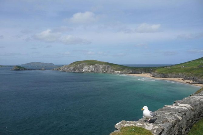 5-Day Northern Ireland and Atlantic Coast Small-Group Tour from Dublin - Price and value: $1,563.99 and what you’re really paying for
