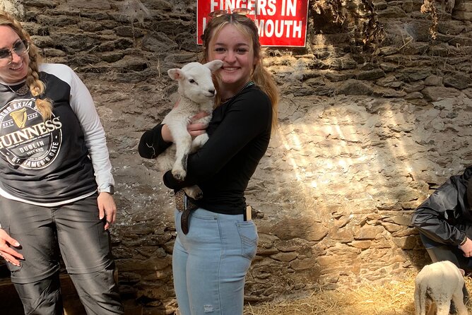 6 Day Small Group! Full package Southern Ireland tour from Dublin - Day 6: Connemara sheepdogs, Athlone’s Sean’s Bar, and Kilbeggan whiskey