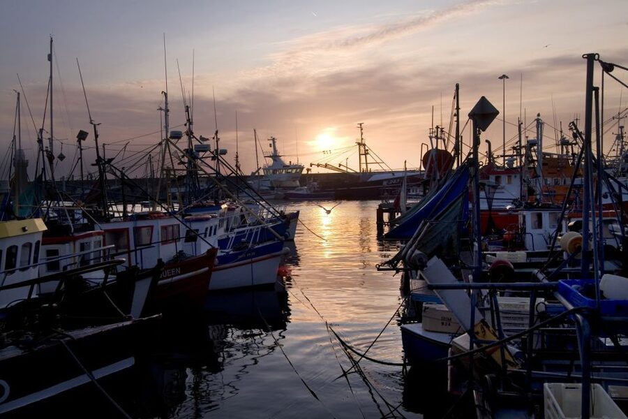 6-Day Tour of Southern Ireland from Dublin - The pacing risk: when the day turns into a rush