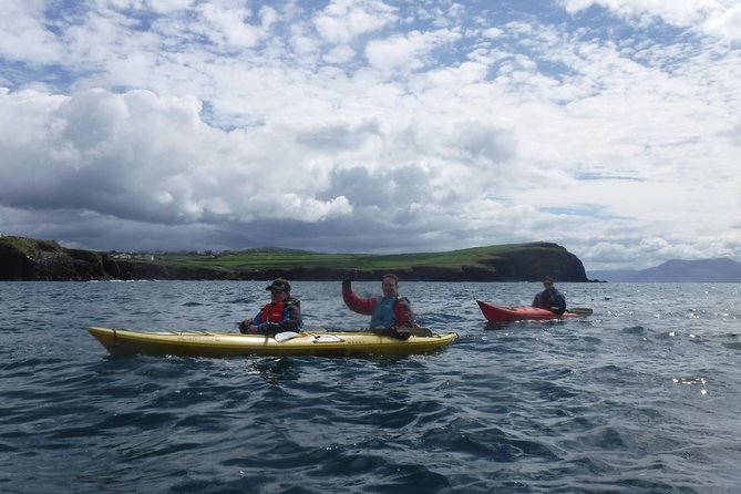7-Day Great Atlantic Adventure Small-Group Tour of Ireland from Dublin - Sheepdog demonstrations and the Cliffs of Moher guided walk
