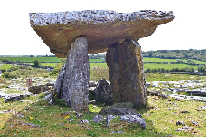8 Day Emerald Explorer Small Group of tour of Ireland - Starting in Dublin at 8:00am: meeting point, comfort, and expectations