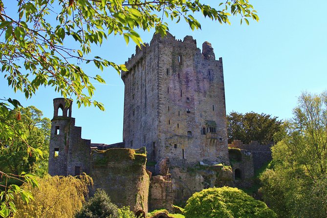 8 Day Emerald Explorer Small Group of tour of Ireland - Days 3 and 4: Killarney National Park, Torc Waterfall, Dingle Peninsula, and Slea Head Drive