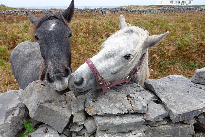 Aran Islands Scenic Flight and Galway Rail Tour from Dublin - The Scenic Flight to Inis Mór: Short, Sharp, and Worth It