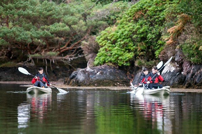 Beautiful Southwest Tour 2022 - Beara Peninsula to Garnish Island: friary calm, nature reserve time, and the Queen of the Seas