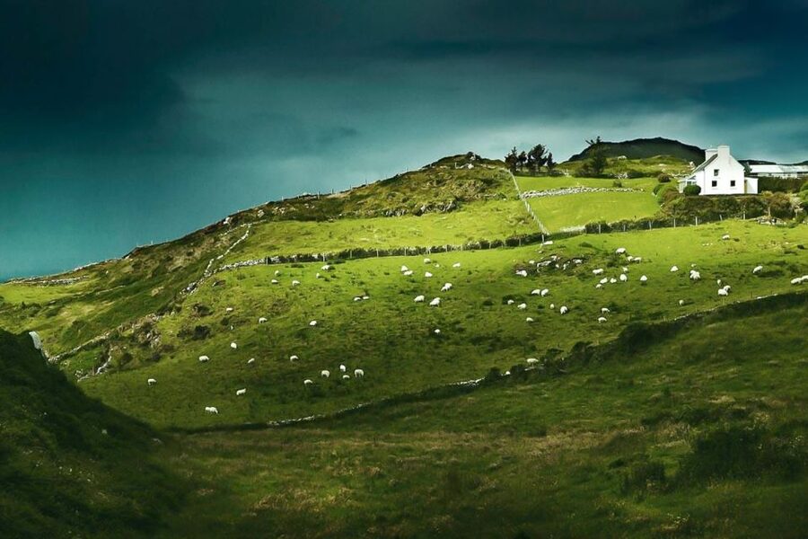 Best of Ireland 6-Day Backpackers Economy Tour - Day 2: Belfast to Derry—Antrim Coast in One Long Sweep