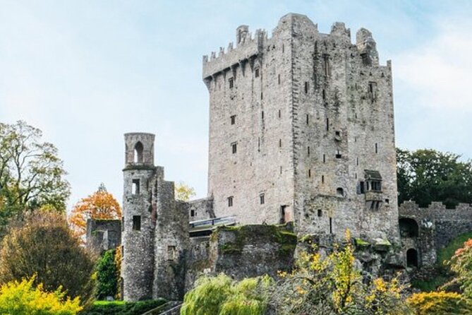 Blarney Castle and The Rock of Cashel with Private Chauffeur Tour - The private chauffeur part: why it matters more than you think