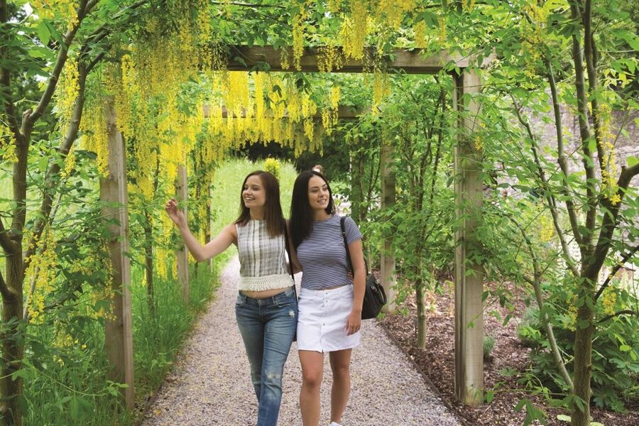 Blarney Castle Full-Day Tour from Dublin - Key Highlights You’ll Actually Feel