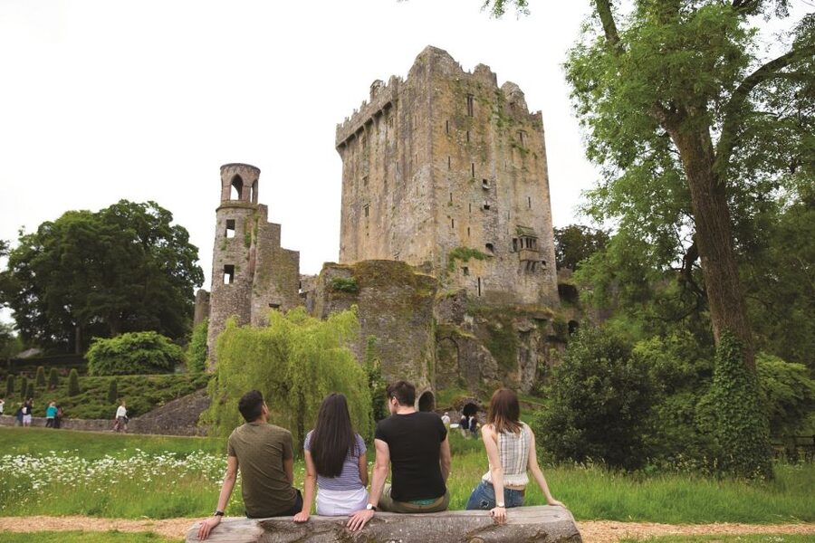 Blarney Castle Full-Day Tour from Dublin - County Cork Views on the Way to Cork City