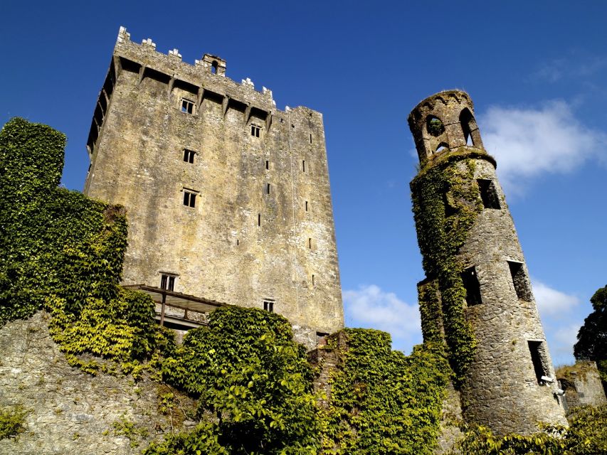 Blarney Castle Full-Day Tour from Dublin - Rock of Cashel and St Patrick Connections (Celtic Crosses + Round Tower)