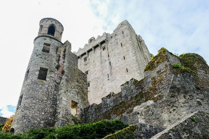 Blarney, Rock of Cashel & Cahir Castles Day Tour From Dublin - What the day feels like: pacing, walking, and queue reality