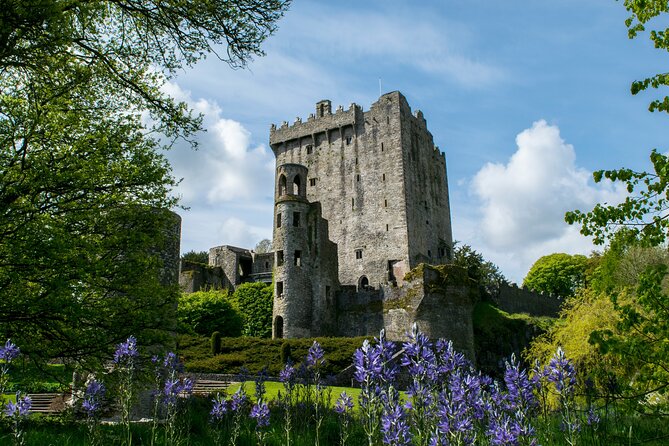 Chauffeur Blarney and Cork Private Day Tour from Dublin - Morning Start in Dublin: Merrion Hotel Pickup at 8:00
