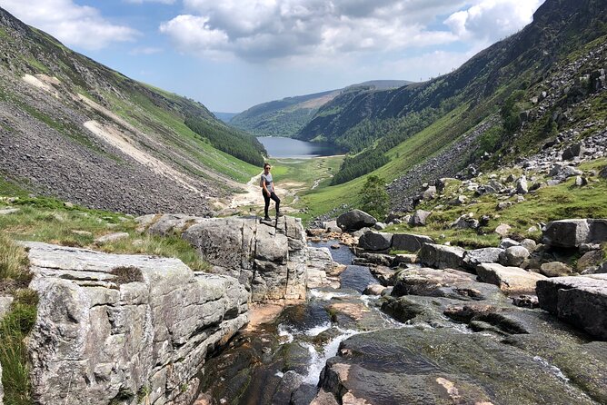 Chauffeur Driven Tour of Beautiful County Wicklow - Powerscourt Waterfall: A Fast Way to See Big Ireland