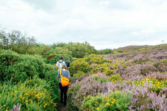 City Explorer: Howth Private Day Trip - Why Howth feels like a reset, not a rushed stop