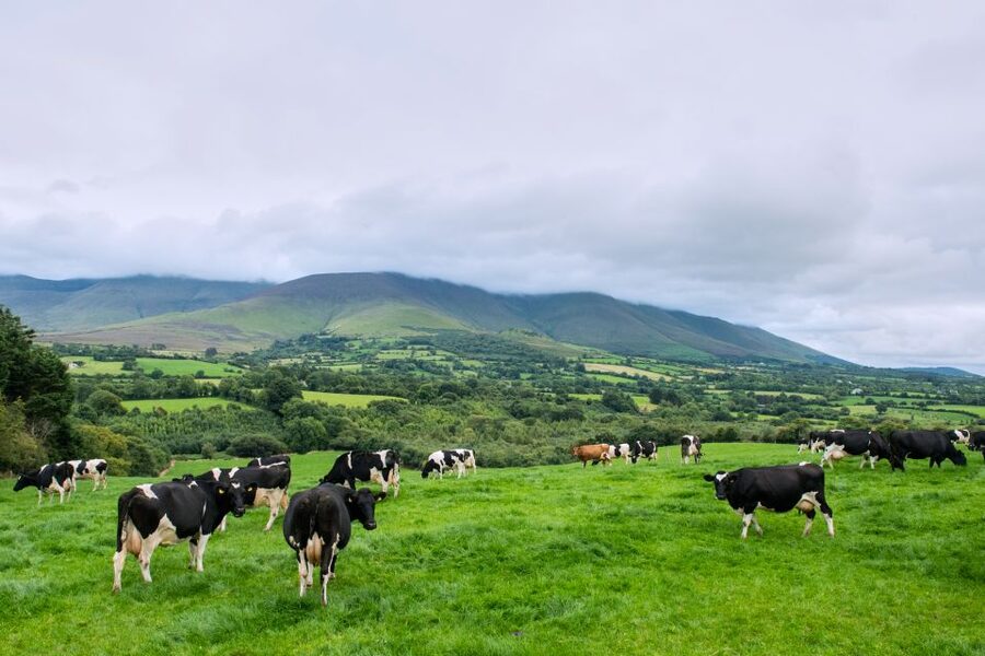 Cliffs of Moher and Blarney 2-Day Tour from Dublin - The Big Picture: Why this tour works from Dublin