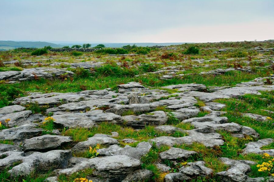 Cliffs of Moher and Blarney 2-Day Tour from Dublin - Price and value: what $226 covers on a two-day loop