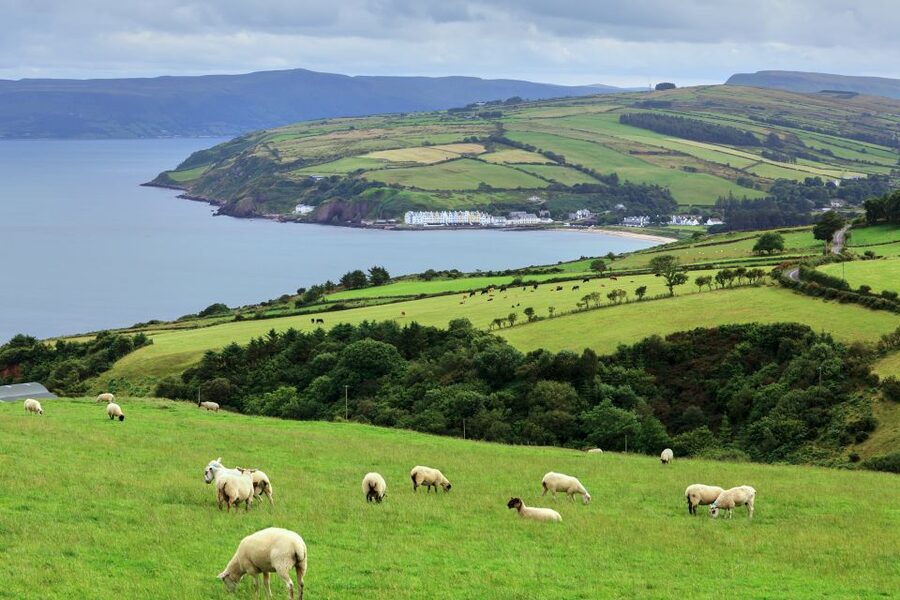 Cliffs of Moher and Blarney 2-Day Tour from Dublin - Who this tour fits best (and who should rethink it)