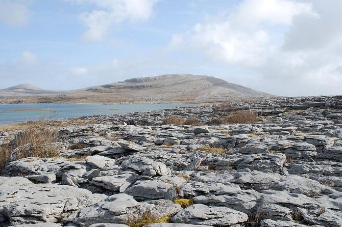 Cliffs of Moher and Galway City Day Tour from Dublin - Coach comfort, WiFi, and the group-size reality