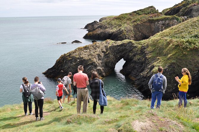 Day Tour from Dublin to Wicklow: Cliffs, Heritage, Wildlife, Gaol - Norman Black Castle Ruins and Wicklow Gaol: When the Stories Get Specific