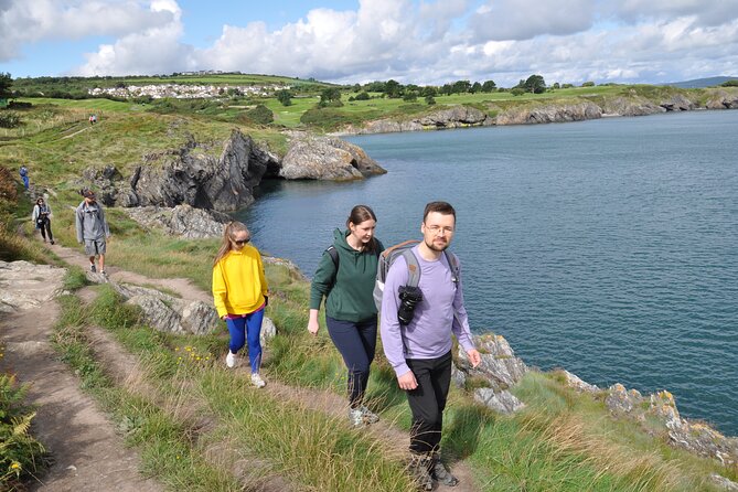 Day Tour from Dublin to Wicklow: Cliffs, Heritage, Wildlife, Gaol - Food Plan: Picnic Included, Lunch at a Tavern (Your Wallet Decides)