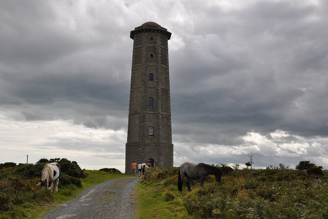 Day Tour from Dublin to Wicklow: Cliffs, Heritage, Wildlife, Gaol - How the Timing Works (and Why It Feels Manageable)