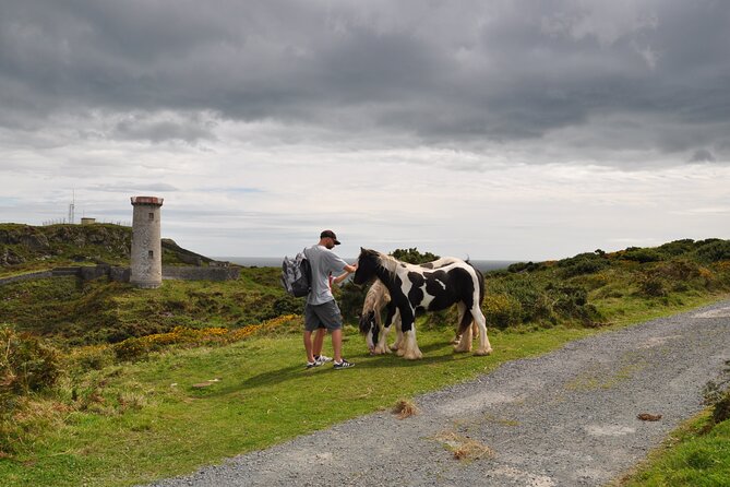 Day Tour from Dublin to Wicklow: Cliffs, Heritage, Wildlife, Gaol - Getting From Dublin: Pickup, Private Group Size, and Comfort