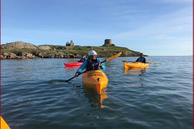 Dublin Bay Seal Kayaking Safari at Dalkey - Why Dublin Bay Seal Kayaking Feels Different from Anything on Land