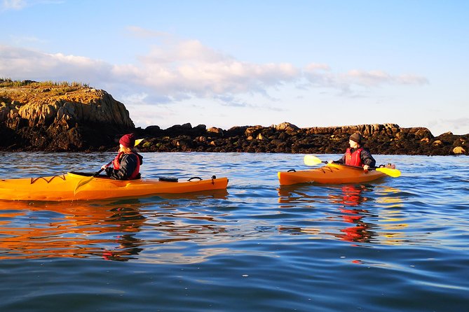 Dublin Bay Seal Kayaking Safari at Dalkey - Price and Value: Is About $144 Worth It?
