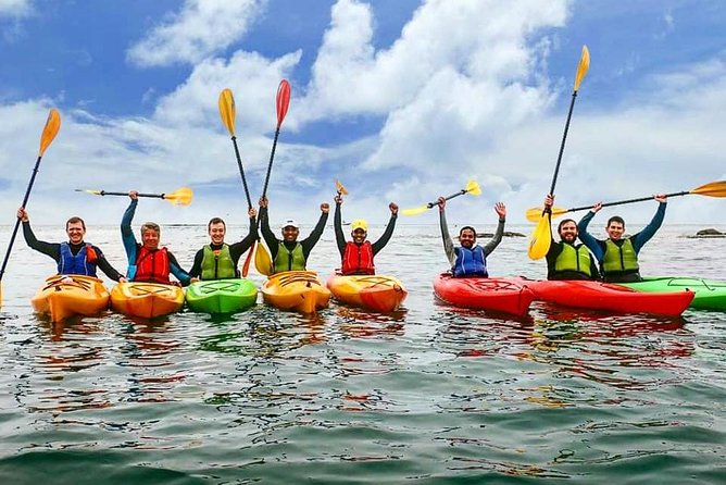 Dublin Bay Seal Kayaking Safari at Dalkey - Small Comfort Details That Make or Break the Day