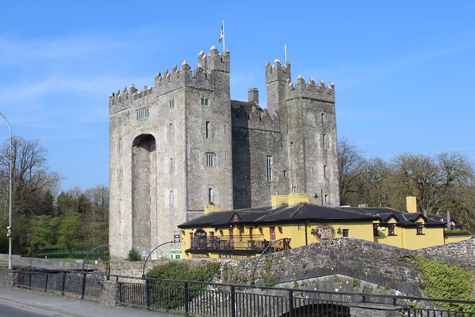 Dublin City Private Award Winning Luxury Car Tour - Stop 2: The Irish Rock ’N’ Roll Museum for music lovers