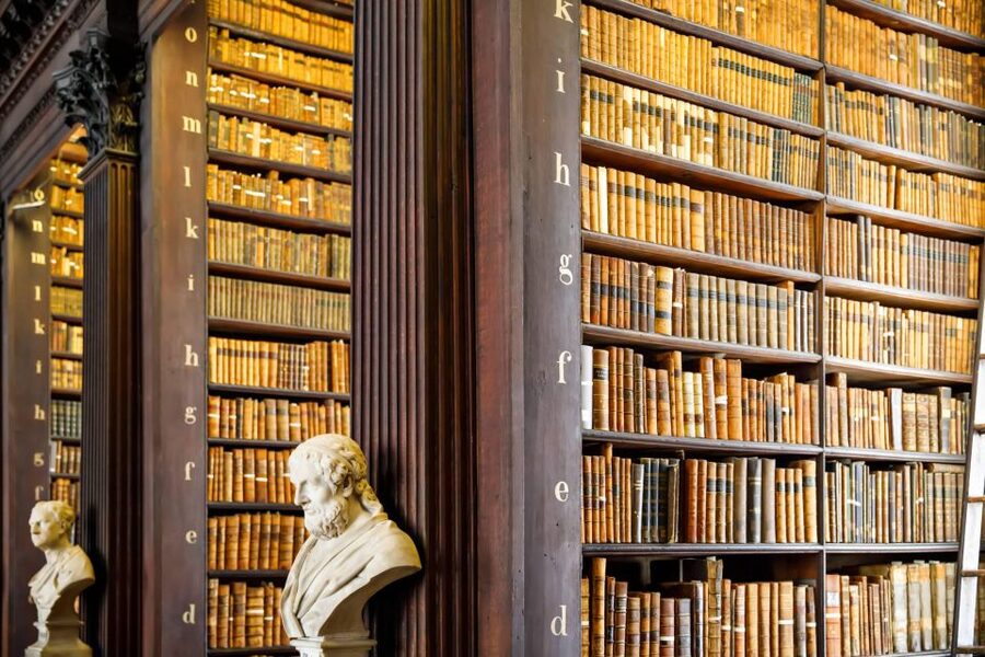 Dublin City Walking Tour, Vikings, St. Partick, Highlights - Who This Tour Fits Best (and Who Should Consider Another Option)