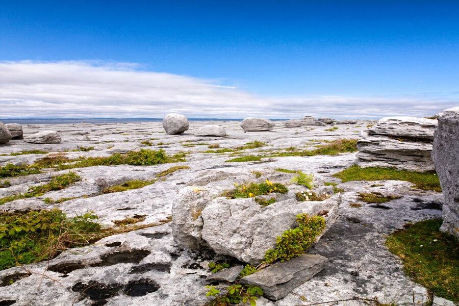 Dublin: Cliffs of Moher, Atlantic Edge & Galway City - Price and Value: Is $85 Worth It for Dublin-to-Galway?