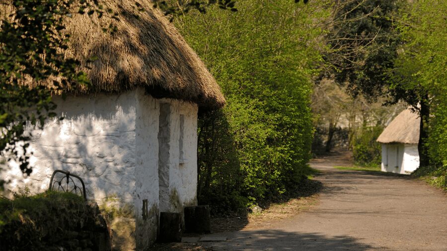 Dublin: Cliffs of Moher, Ennis, & Bunratty Castle Day Tour - Value for $91: why admissions included matters