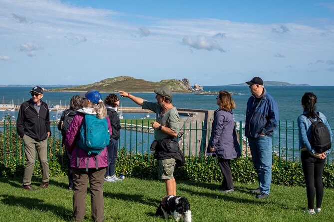 Dublin Coastal Hike, Pints & Puppies Adventure - Should you book this Dublin-to-Howth hike with pints and puppies?