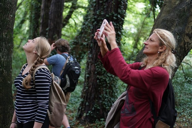 Dublin Coastal Hike with Howth Adventures - Meeting at Howth Market: quick start, clear plan