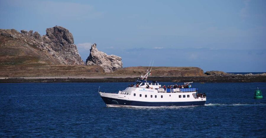 Dublin: Dublin Bay Cruise from Howth to Dun Laoghaire - Price and What You Actually Get (So You Can Judge Value)