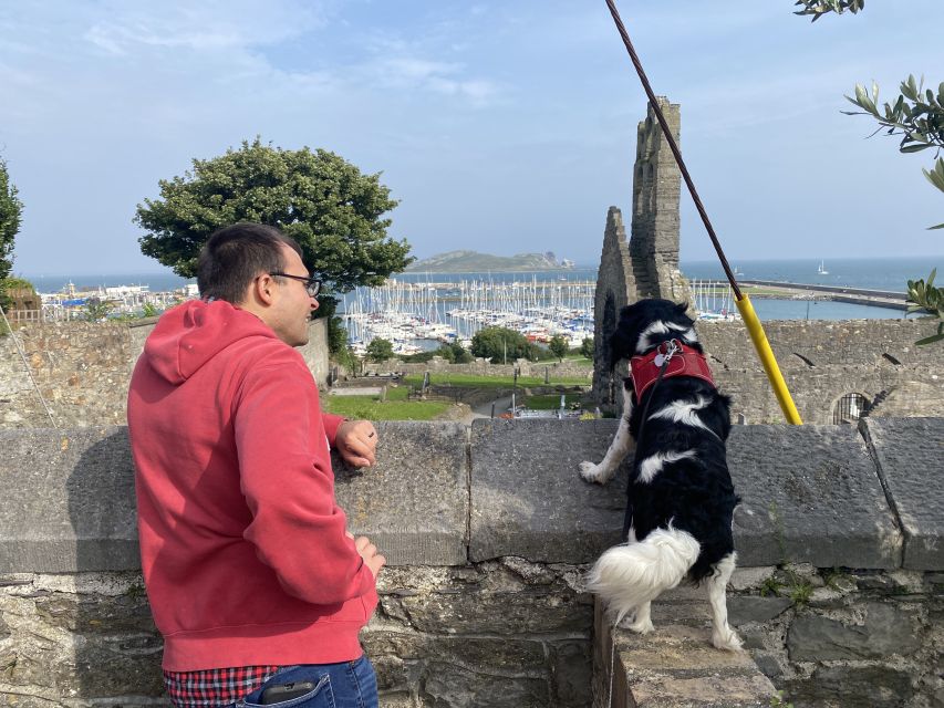 Dublin: Dublin Coastal Hike and Pints & Puppies - St. Mary’s Abbey (Built in 1042): A Real-Time History Pause