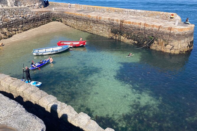 Dublin (Dun Laoghaire) Top-Rated Coastal Walking Tour - People’s Park and The Metals: green space plus railway traces