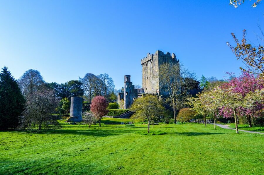 Dublin: Full-Day Tour to Cork, Cobh and Blarney Castle - Who this tour fits best (and who should rethink it)
