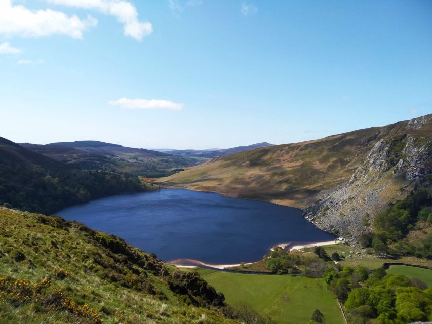Dublin: Full-Day Wicklow Mountains Tour w/ Glendalough Visit - Why the Wicklow Mountains day trip feels like a real escape from Dublin
