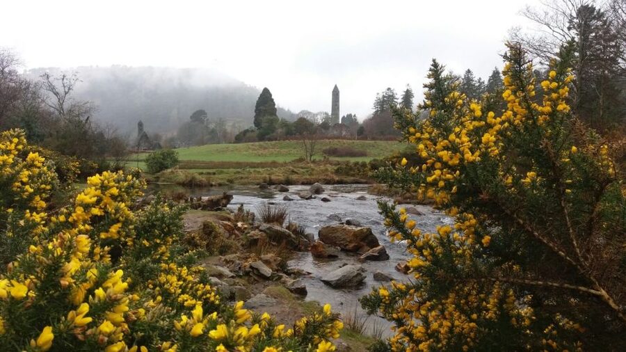Dublin: Full-Day Wicklow Mountains Tour w/ Glendalough Visit - Glendalough National Park: St. Kevin, Celtic legends, and lake-path walking
