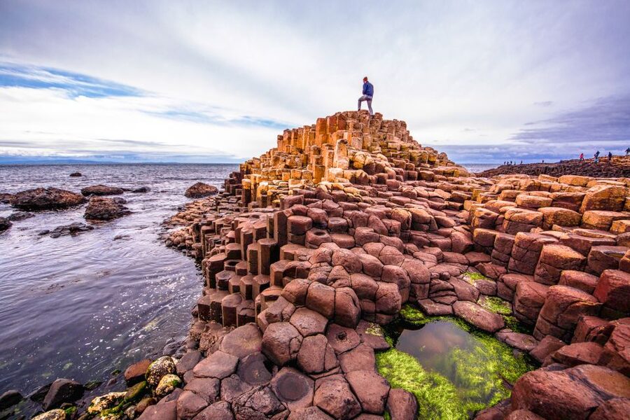Dublin: Giant's Causeway, Dark Hedges & Titanic Guided Tour - The Dark Hedges in County Antrim: filming-road atmosphere without the lines