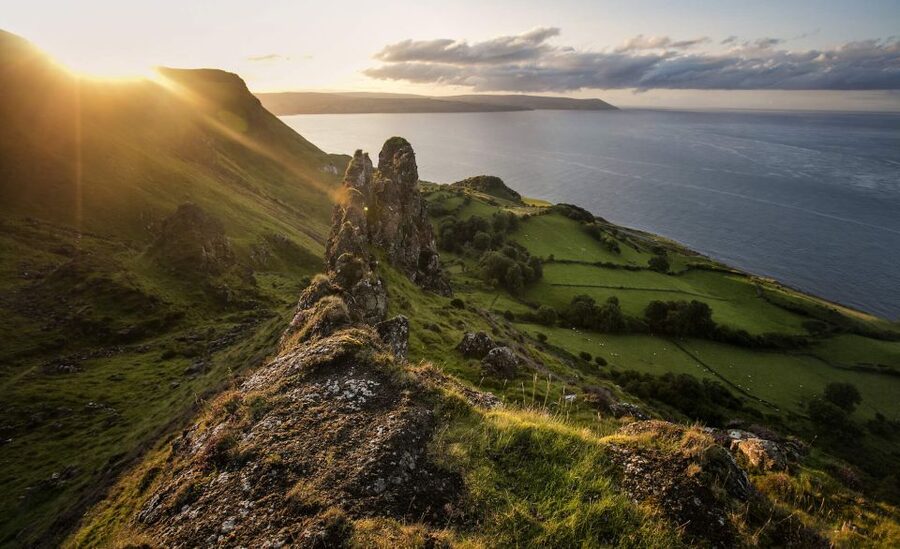 Dublin: Giant's Causeway, Dark Hedges & Titanic Guided Tour - Price and value: what $124 buys in real terms