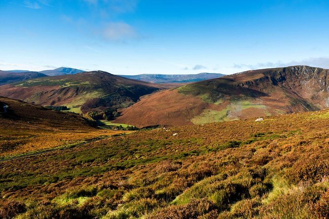 Dublin: Glendalough, Wicklow, Kilkenny and Sheepdog demonstration - Price and value: why $45.95 can still feel fair