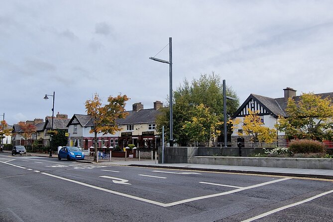 Dublin: Hidden Gem Walking Tour with Local Guide - Kingswood Heights to Tallaght Village: A Fast Tour Through Big Time